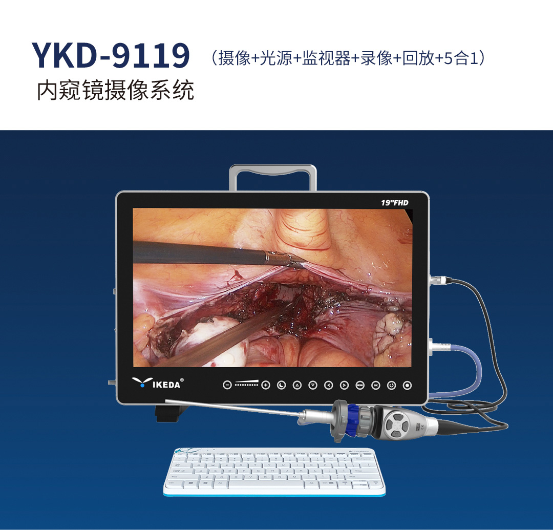 內窺鏡攝像系統YKD-9119